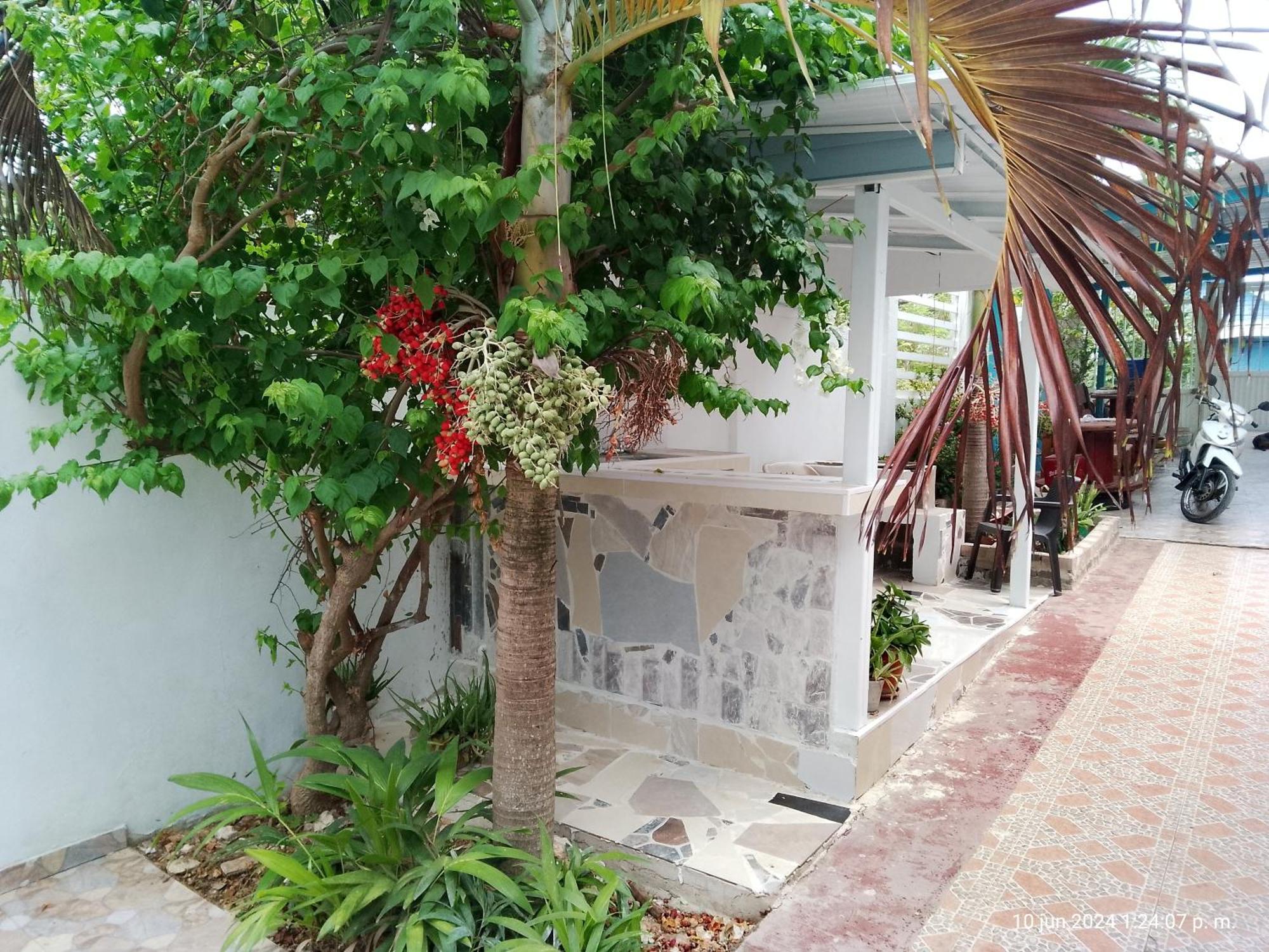 Honey Hill View Lejlighed San Andrés Eksteriør billede